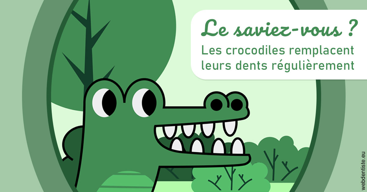 https://selarl-d-arguin.chirurgiens-dentistes.fr/Crocodiles 2